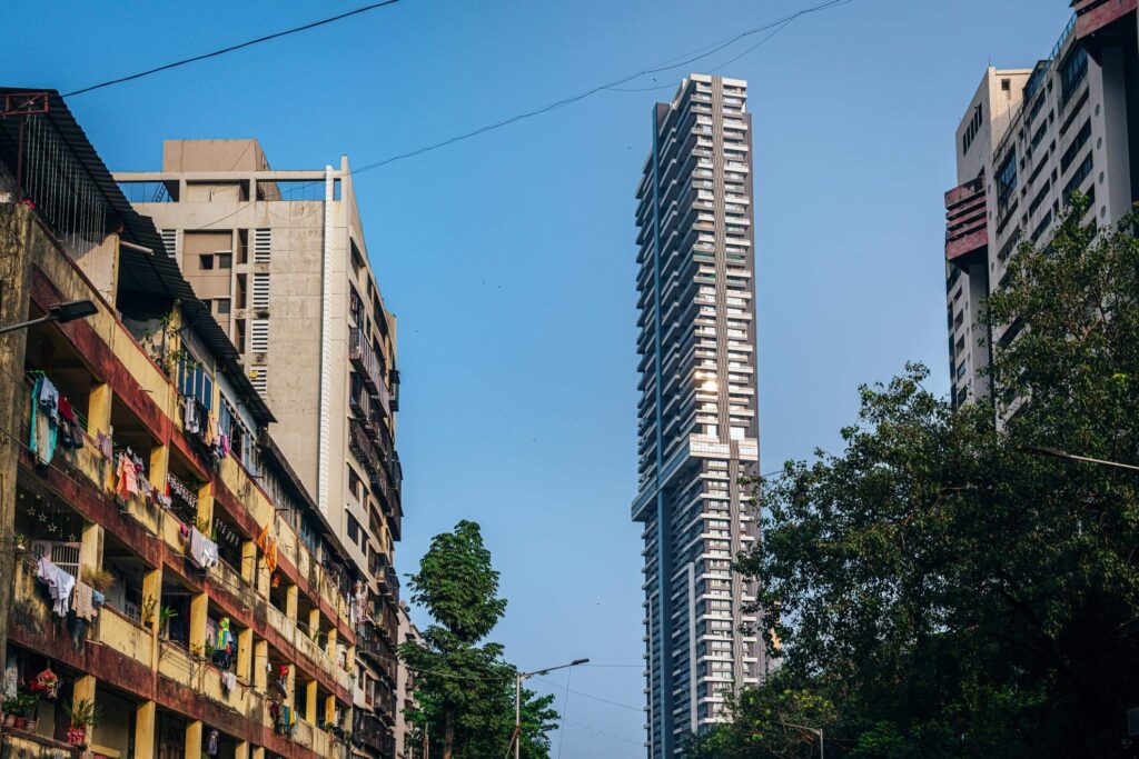 Narrow Roads Taller Ambitions