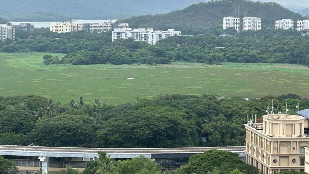 Powai SRA Project Clears Major Hurdle After BMC Approves Tree Removal Plan