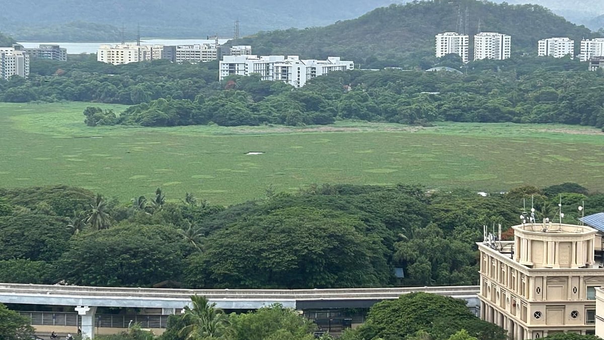 Powai SRA Project Clears Major Hurdle After BMC Approves Tree Removal Plan